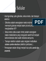 Pernapasan Seluler Proses Glikolisis, Siklus Krebs, dan Transpor Elektron