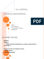 Risk, Cost of Capital and Capital Budgeting