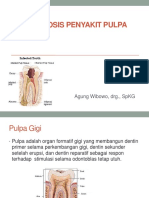 Diagnosis Penyakit Pulpa