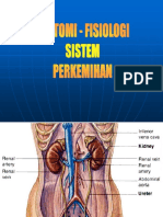 3.-anfis-perkemihan.ppt