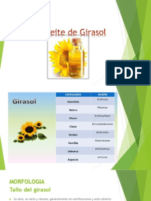 Diapositivas de Agro Girasol | PDF | Flores | Suelo