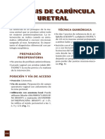 Caruncula PDF