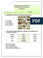 3º BásDIAGNOSTICOCN