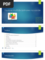 Equipas Multidisciplinares Na Saúde