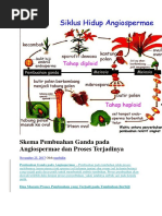 Download Skema Pembuahan Ganda Pada Angiospermae Dan Proses Terjadinya by marsya marsya SN373837323 doc pdf