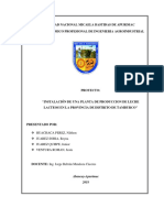 proyectos agroindustriales.docx
