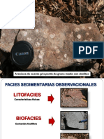 Facies Sedimentarias - Parte 1 B