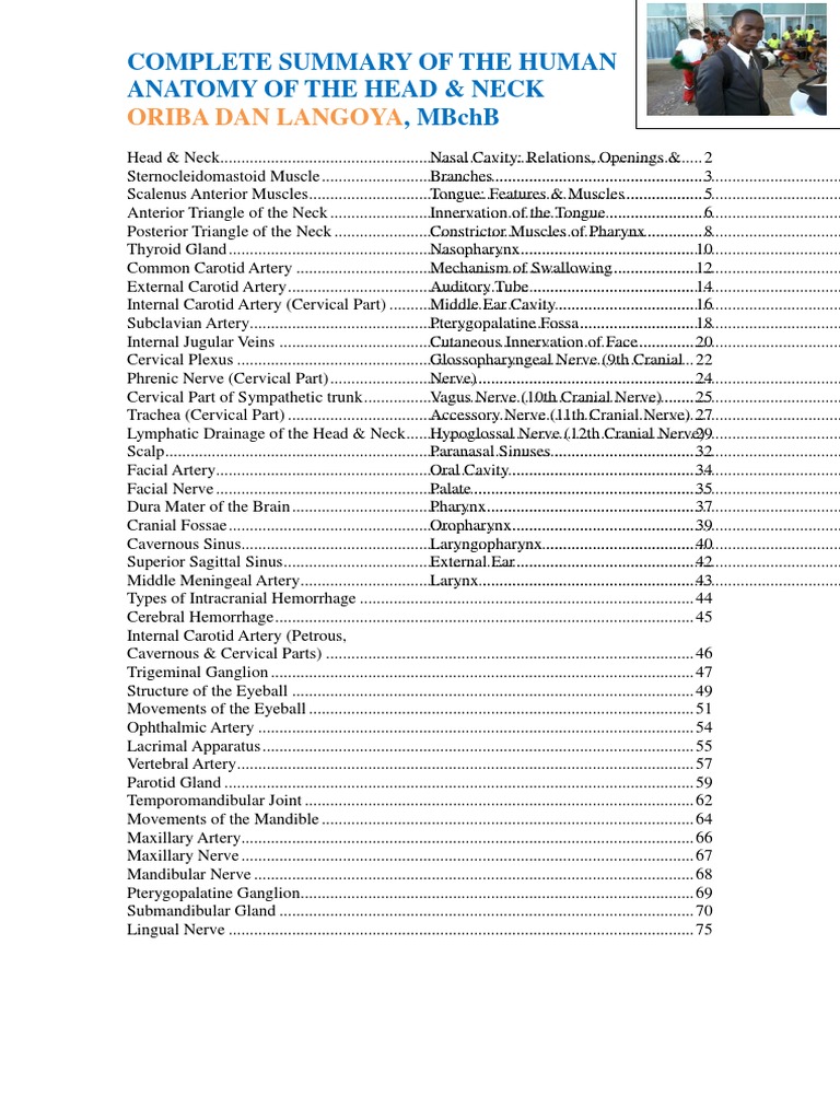 Head and Neck Anatomy Overview | PDF | Common Carotid Artery | Neck