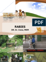 rabies-111218073935-phpapp02