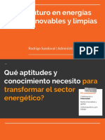 Futuro en Energia Renovables y Limpias