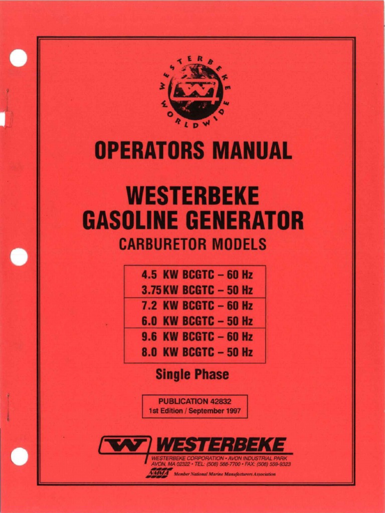 Fuel system problems and remedies
