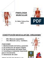 Fisiologia Muscular