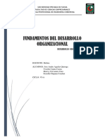 Fundametos Del Desarrollo