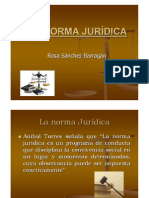 La norma jurídica, ratio iuris o regla del derecho