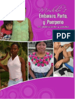 2010 Normas Del Embarazo Parto y Puerperio Mspas