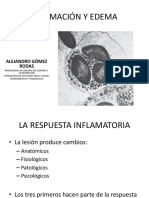 Inflamación y edema: causas, signos y tratamiento RICES