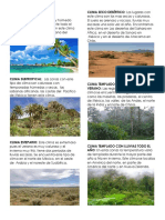 Diferentes Tipos de Clima