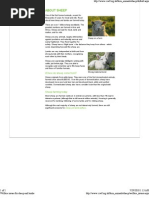 Sheep Handbook | PDF | Sheep | Lamb And Mutton