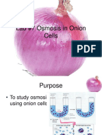 OnionLab.ppt