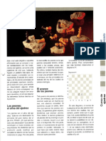 la-pasic3b3n-del-ajedrez-curso-nivel-avanzado1.pdf