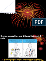 T Cells