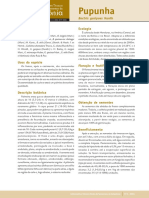 3 - CATALOGO Pupunha PDF