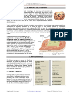 ficha_el_atletismo.pdf