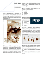 Quimica - Nucleo Comun - Abril 2007