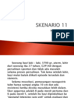 SKENARIO 11 AFNI