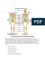 The Functions of The Skeletal System: Dalire, Carlos V. Bs Psychology 3B