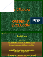 Célula Biologia