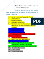 Estructura Del Informe de Factibilidad Técnica