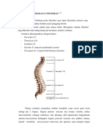 164188594-Anatomi-Dan-Fisiologi-Vertebrae-1.docx