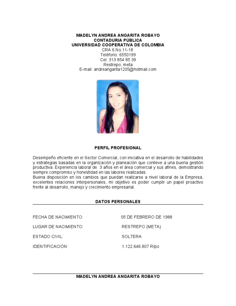 Perfil Profesional de Andrea Robayo | PDF
