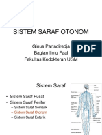 Sistem Saraf Otonom