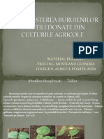 0 Recunoasterea Buruienilor Culturile Agricole