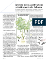 coltivazione-asparago-selvatico.pdf