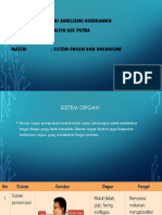 PPT Biologi sistem organ.pptx