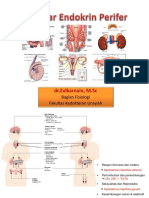 Fisiologi Endokrin Perifer