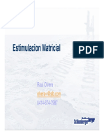 209966107-ESTIMULACION-MATRICIAL.pdf