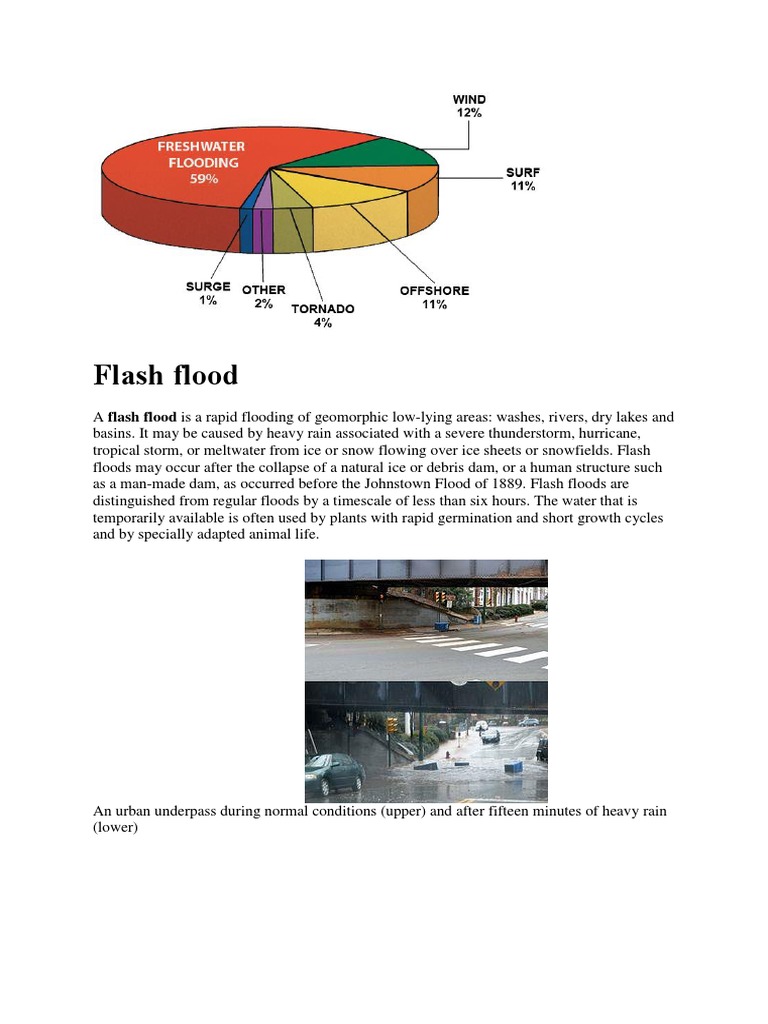 Flash Flood PDF | PDF | Bodies Of Water | Aquatic Biomes