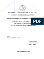 Etnobotanica e Alimentazione Riflessioni Antropologiche Sull Utilizzo Delle Piante Spontanee