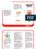 5S-folleto-2013.pdf