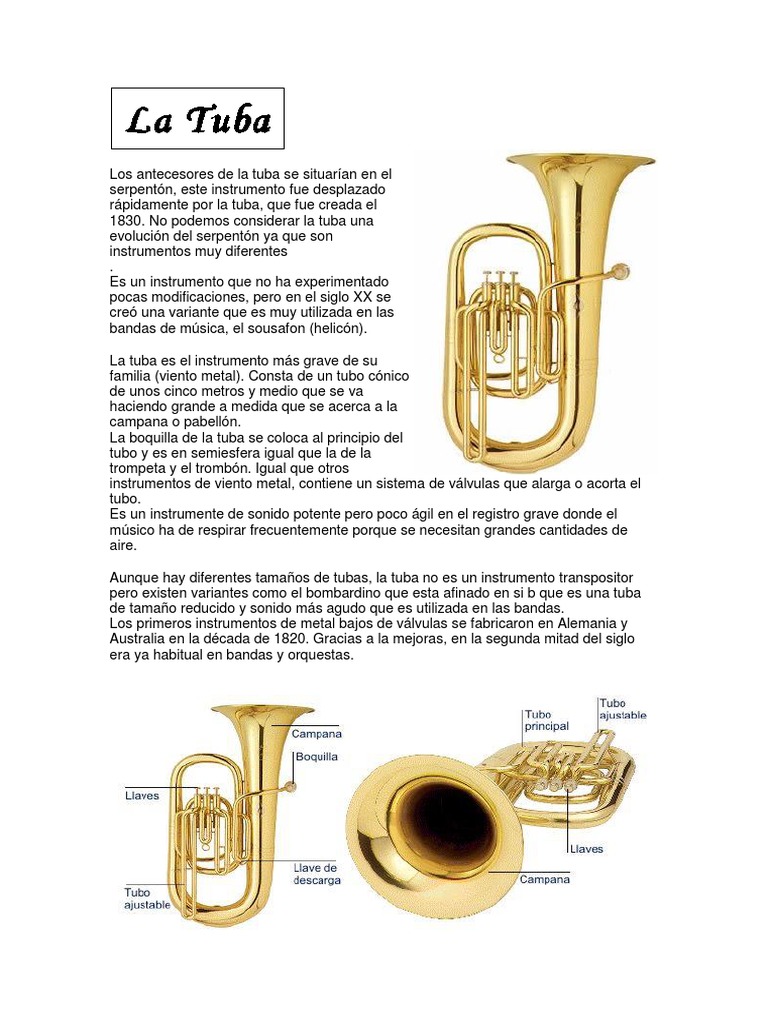 Historia de La Tuba
