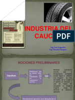 Presentación Del Caucho