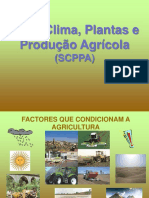 2 Factorescondicionantesdaagricultura 101026070357 Phpapp02