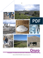 8_Oruro.pdf