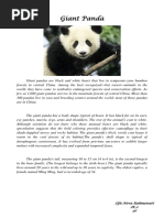 Giant Panda Sifa Nova Rahmawati Ix 2 36