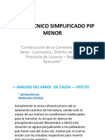 Perfil Tecnico Simplificado Pip Menor