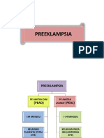 Preeklampsia DR Arief - pptx-1